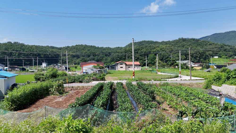 토지 매물 이미지